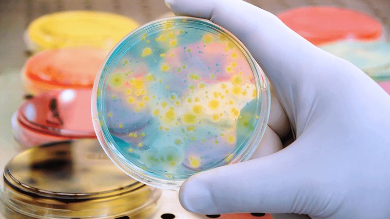 细胞工厂定制流程：揭秘生物医药生产的精密之旅