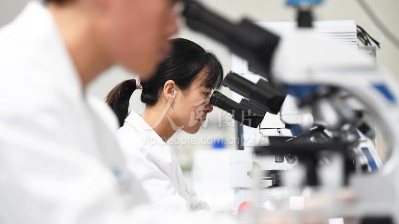 分子生物学试剂分类标准揭秘：如何选择合适的工具