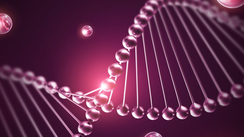 上海实验室耗材分类大全：揭秘实验室必备的“百宝箱”**