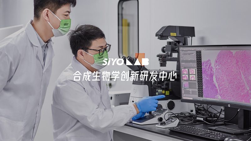 培养基成分揭秘：分类与作用的深层解析**