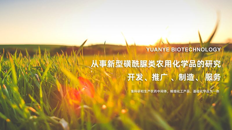 小标题：误区一：盲目追求品牌知名度