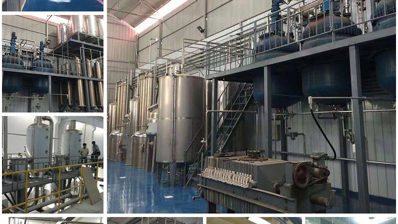 CDMO客户群分类：揭秘医药研发背后的合作伙伴