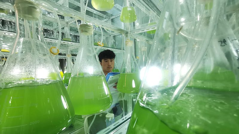 酶制剂为什么有时要冷藏